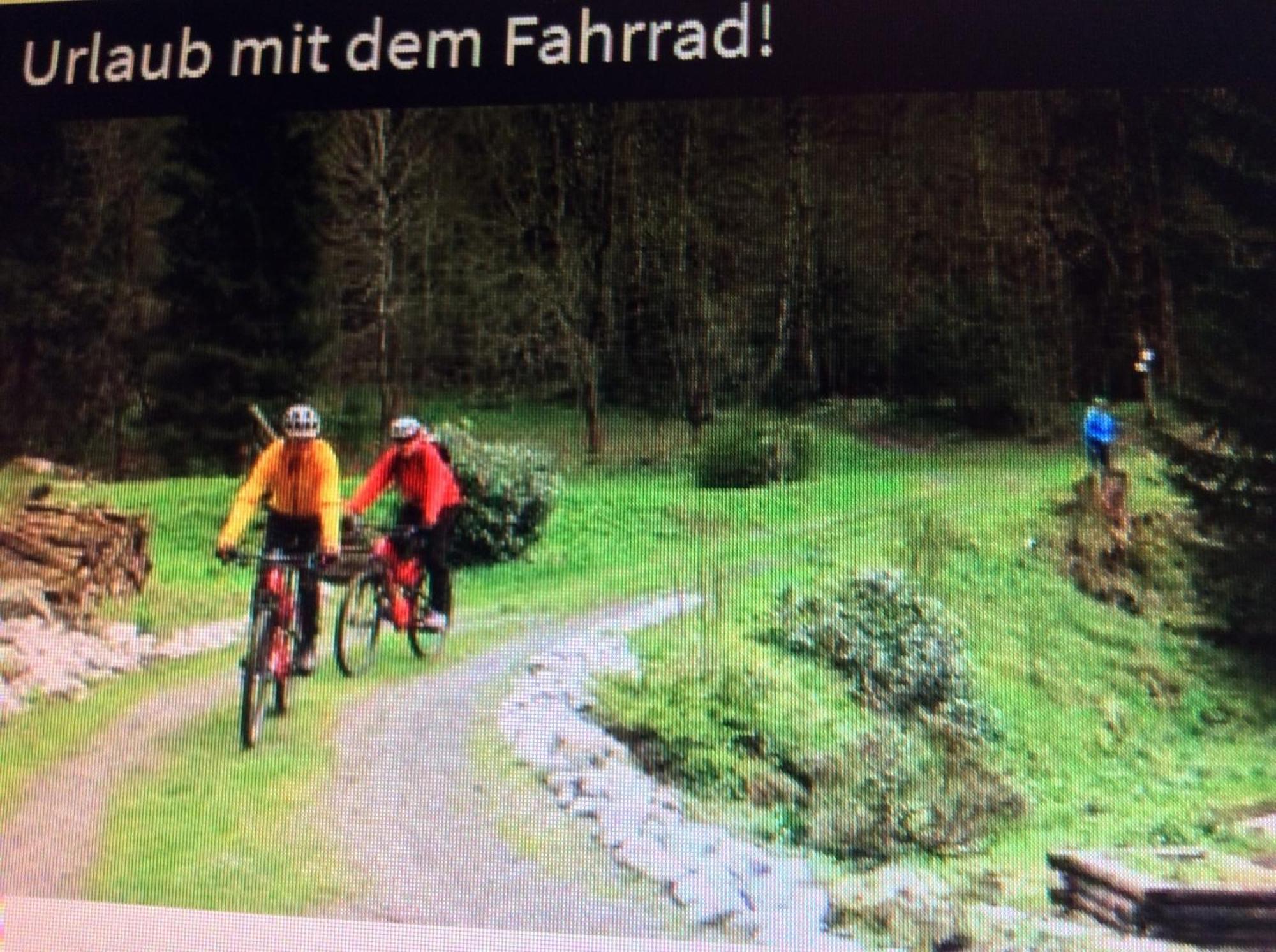 Fewo Romy Braunlage Exteriér fotografie