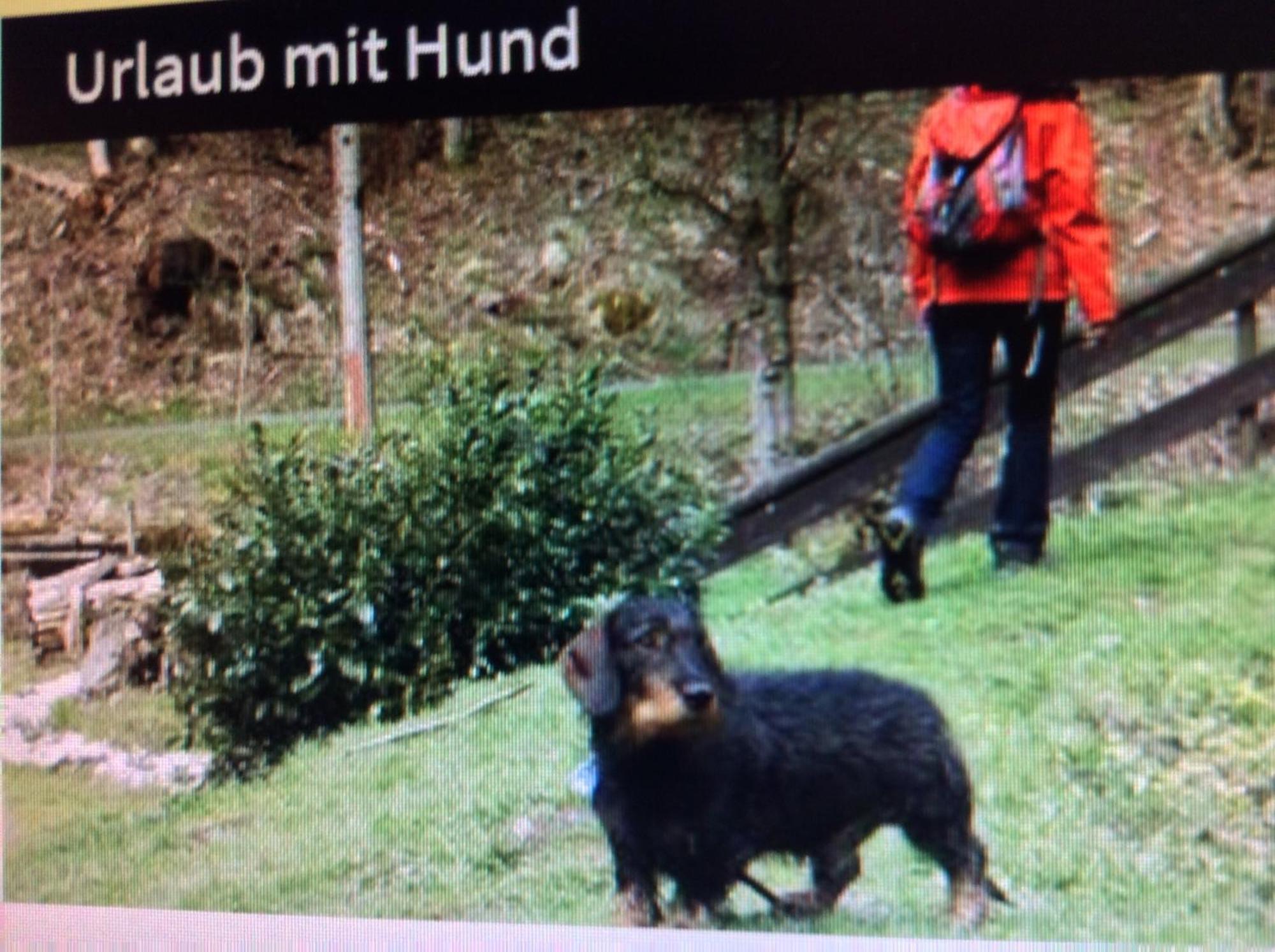 Fewo Romy Braunlage Exteriér fotografie